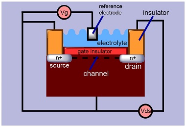 transitor,ترانزیستور اثر میدانی حساس به یون،ISFET 